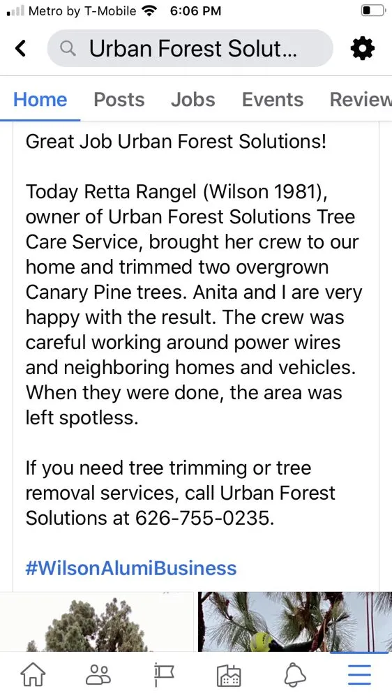 Reliable garden landscaping in Anaheim, CA - Urban Forest Solutions