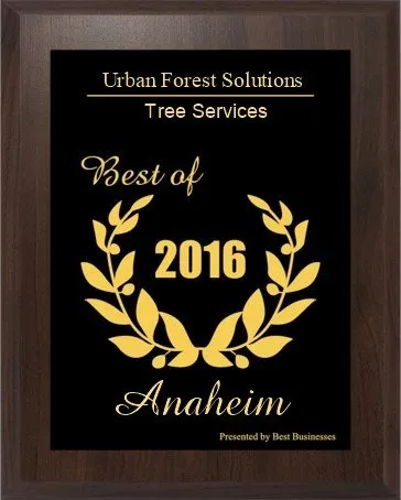 Reliable garden landscaping near you in Anaheim, CA by Urban Forest Solutions