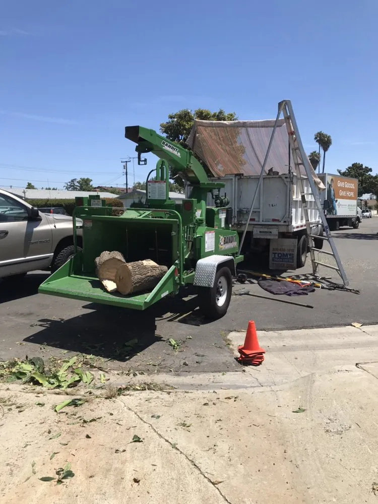 Reliable lawn care service in Anaheim, CA by Urban Forest Solutions