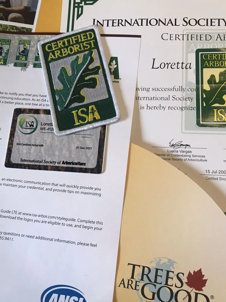 Trusted yard cleanup service in Anaheim, CA by Urban Forest Solutions