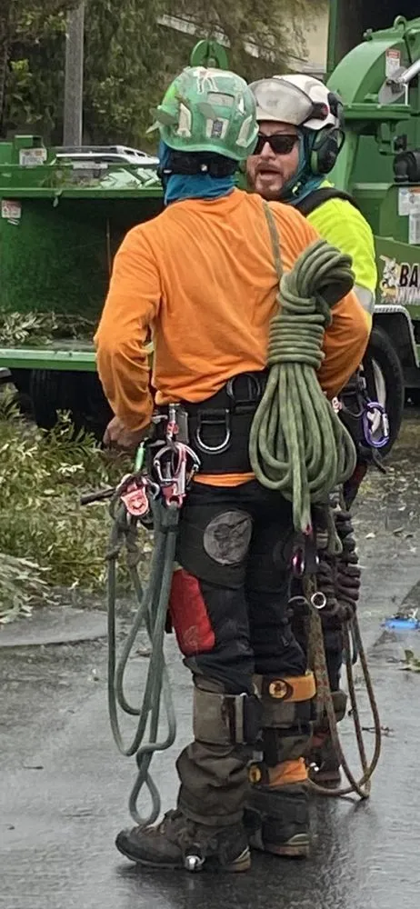 Trusted residential landscaping in Anaheim, CA by Urban Forest Solutions