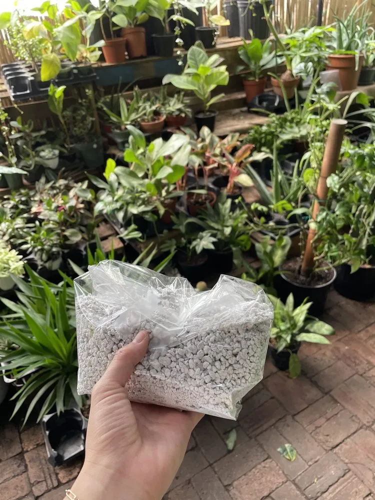 Expert landscaping services for outdoor upgrades in New York, NY by Urban Garden Center