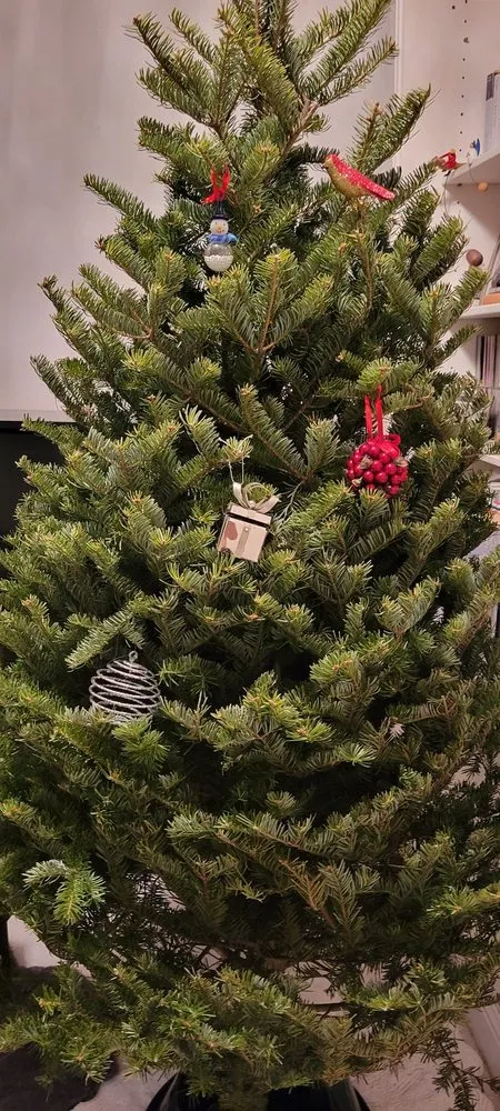 Affordable residential landscaping experts serving New York, NY - Urban Garden Center