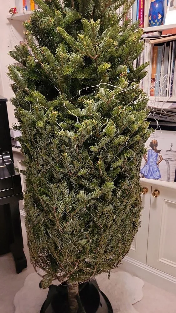 Local lawn care service experts serving New York, NY - Urban Garden Center