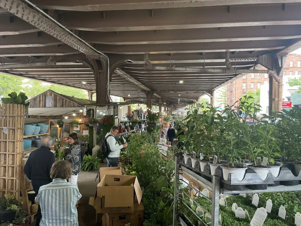 Expert landscape installation in New York, NY - Urban Garden Center