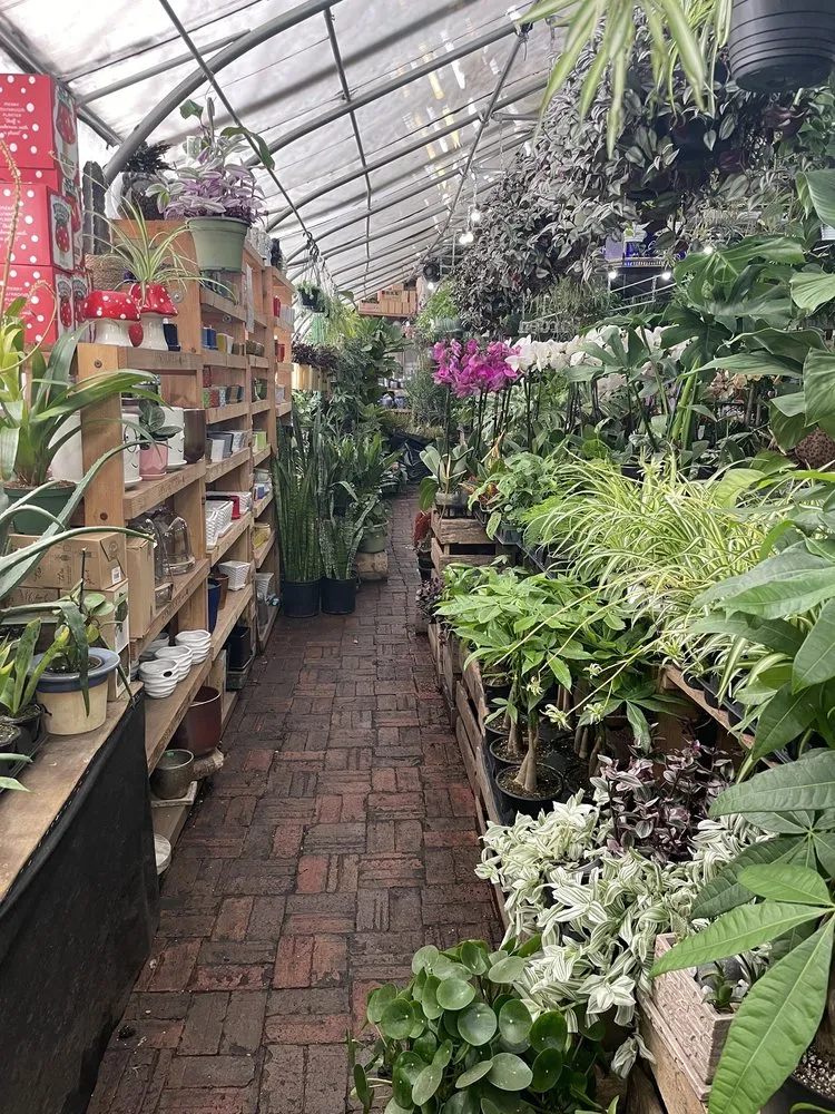 Affordable landscape installation in New York, NY by Urban Garden Center