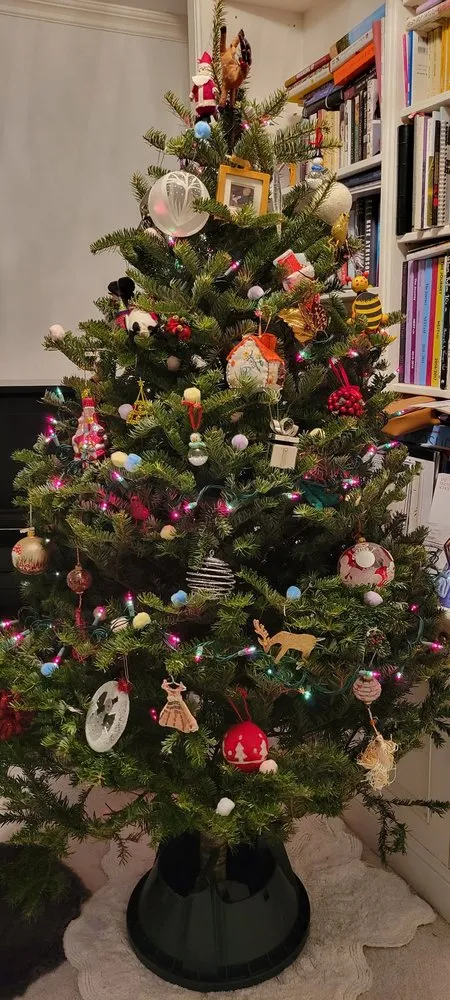 Custom landscape installation in New York, NY by Urban Garden Center