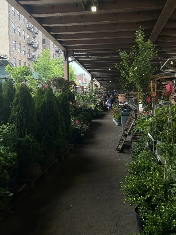 Expert landscape design for residential properties across New York, NY - Urban Garden Center