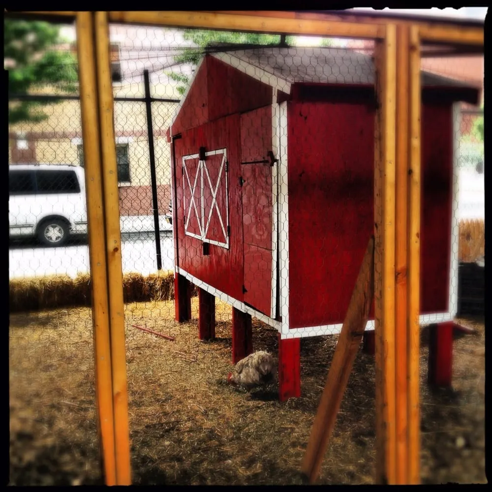 Top-rated outdoor landscaping in New York, NY by Urban Garden Center