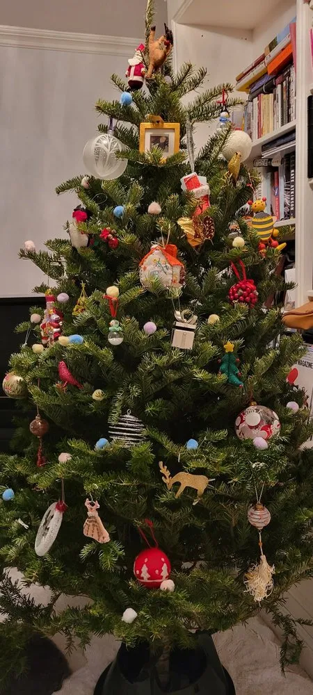 Custom yard cleanup service in New York, NY - Urban Garden Center