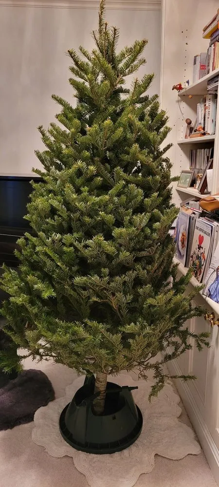 Custom residential landscaping for year-round maintenance in New York, NY by Urban Garden Center