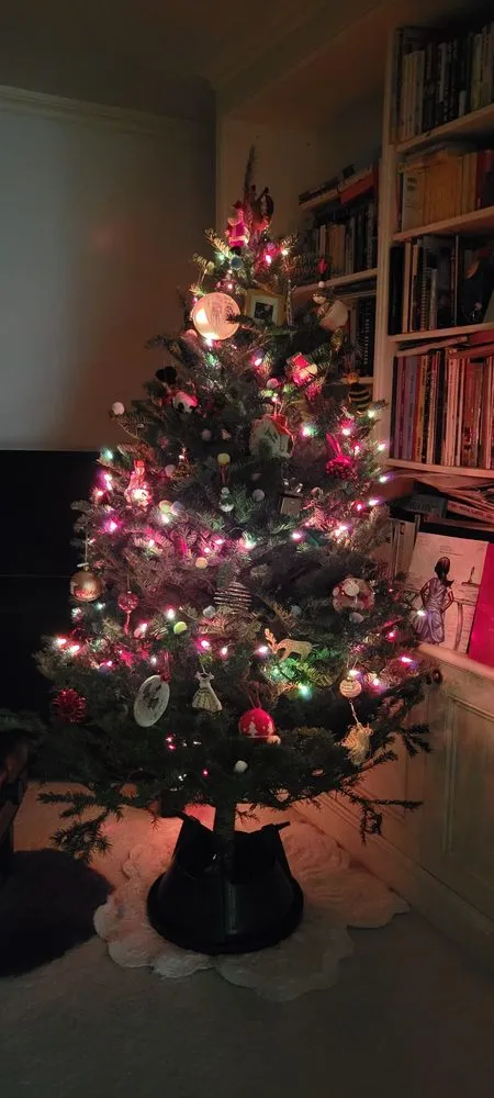 Professional outdoor landscaping for outdoor upgrades in New York, NY by Urban Garden Center