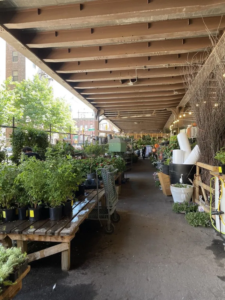 Affordable landscape design for residential properties across New York, NY - Urban Garden Center