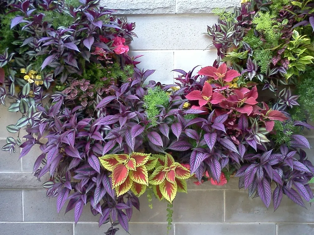 Expert outdoor landscaping in Chicago, IL - Urban Garden Design