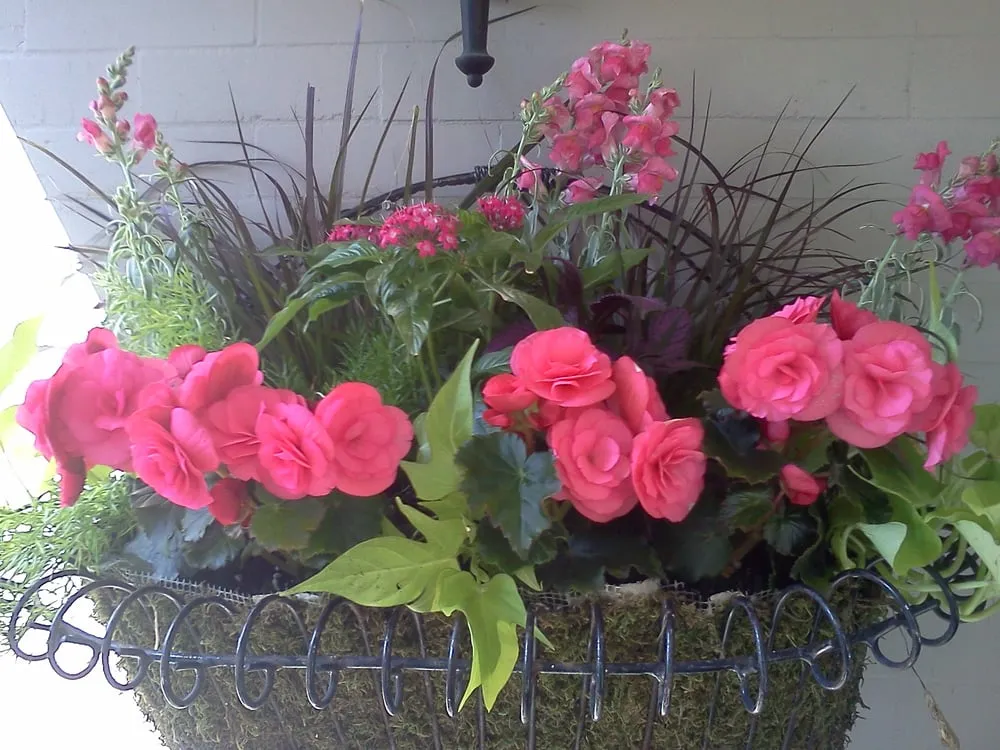 Trusted garden landscaping for beautiful yards across Chicago, IL - Urban Garden Design