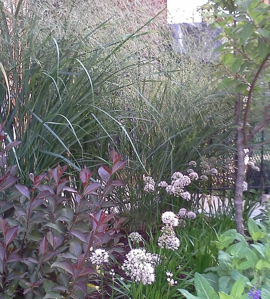 Top-rated landscape design experts serving Chicago, IL - Urban Garden Design