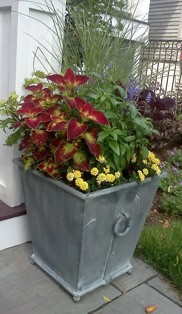 Top-rated yard maintenance for outdoor upgrades in Chicago, IL by Urban Garden Design