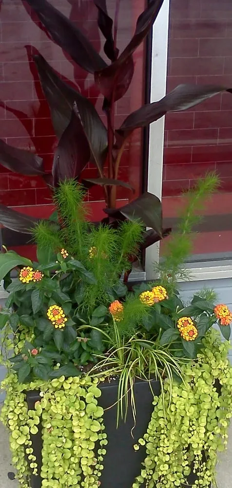 Custom landscape installation experts serving Chicago, IL - Urban Garden Design