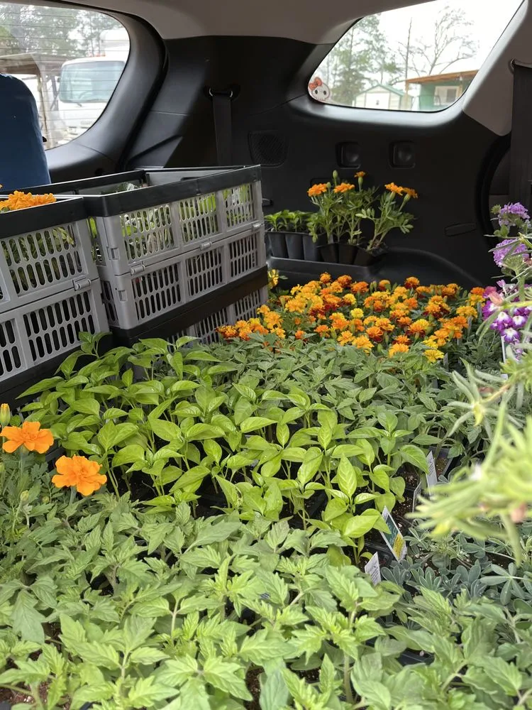 Local lawn mowing service experts serving Austin, TX - Urban Gardens