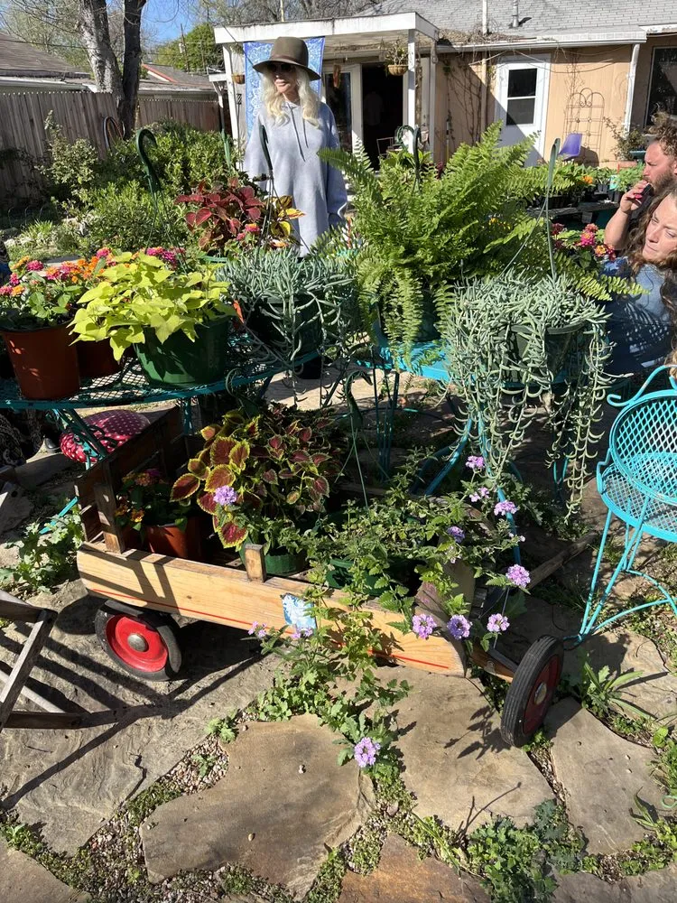 Top-rated landscaping services for outdoor upgrades in Austin, TX by Urban Gardens