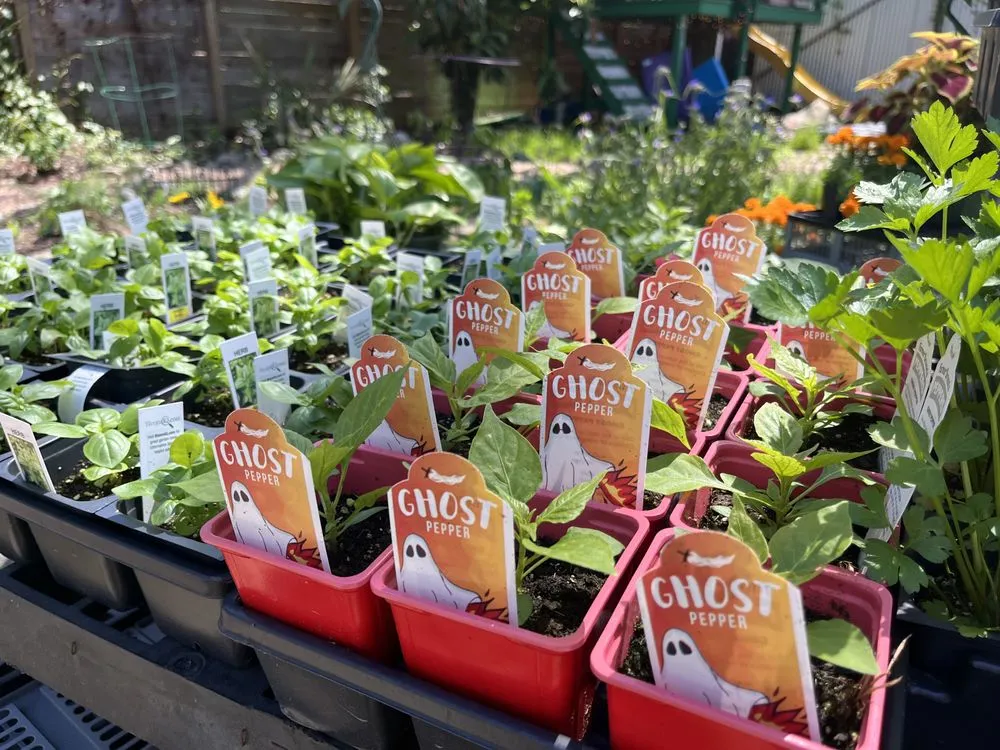 Local lawn care service near you across Austin, TX - Urban Gardens