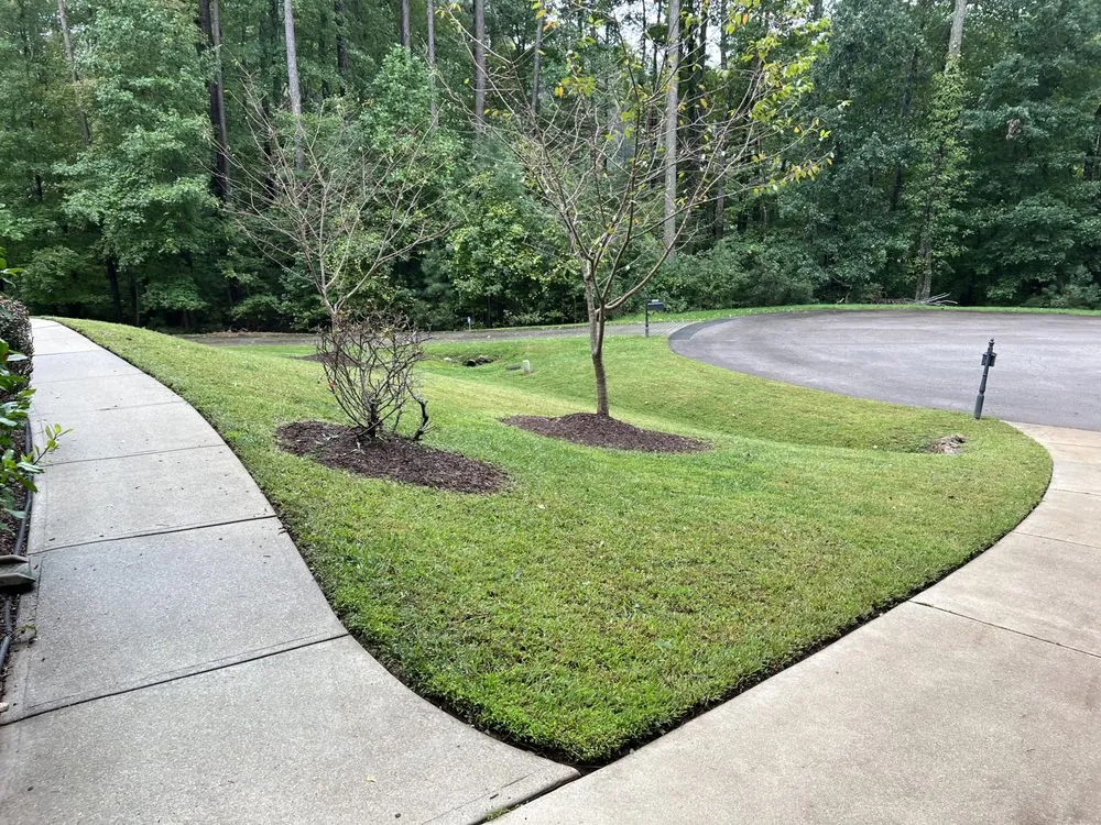 Expert yard cleanup service in Wake Forest, NC - Urban Gardens