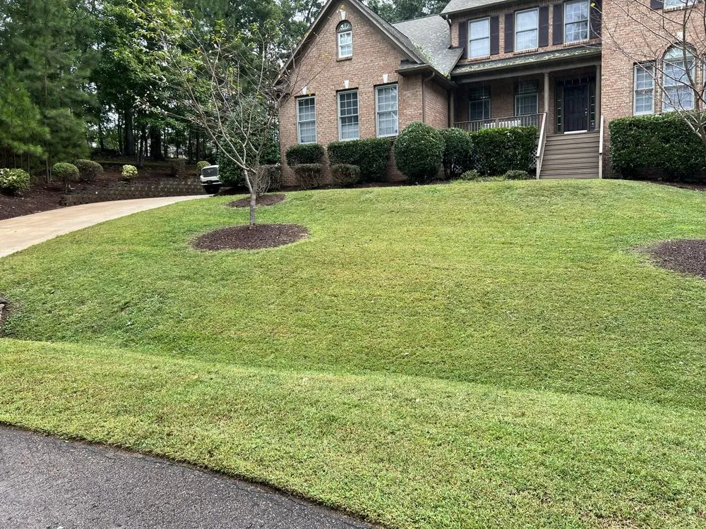 Custom landscape design for year-round maintenance in Wake Forest, NC by Urban Gardens