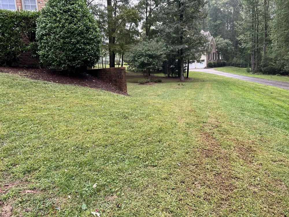 Professional garden landscaping for homes in Wake Forest, NC by Urban Gardens