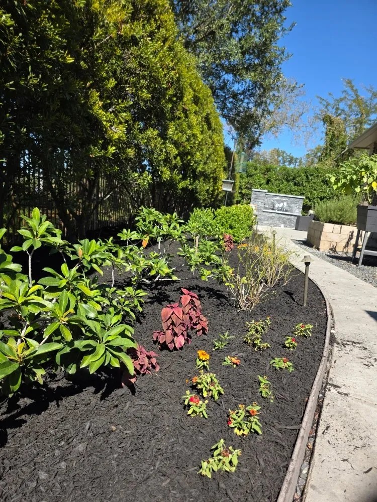 Reliable landscape design in Bryan, TX by Urban Green