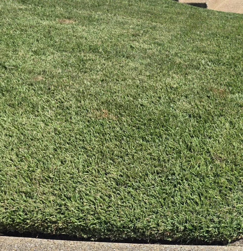 Top-rated lawn mowing service in Bryan, TX - Urban Green