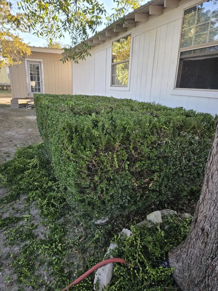 Reliable landscape installation in Bryan, TX by Urban Green