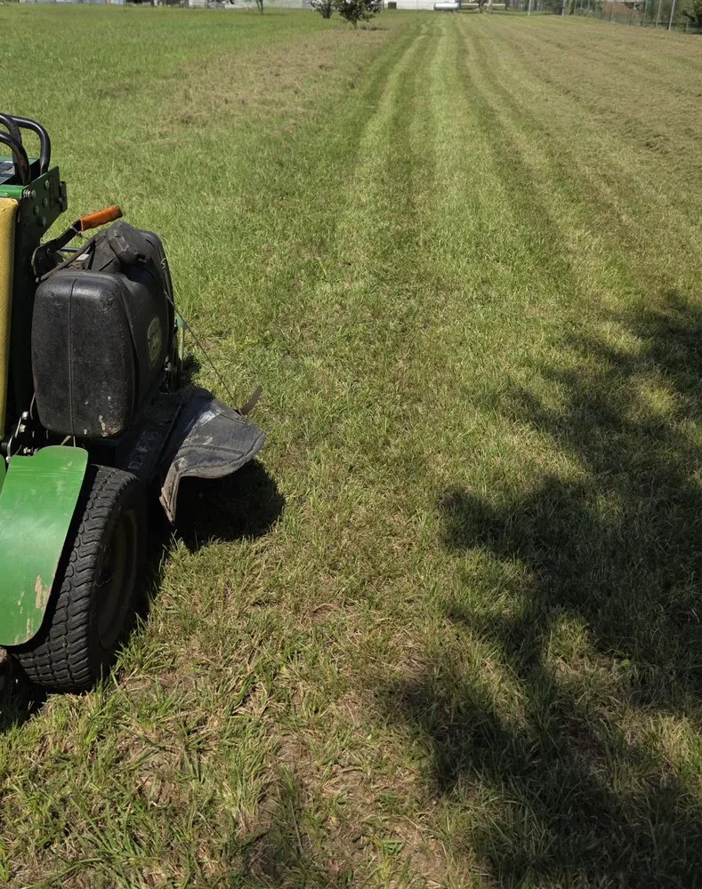Custom landscape installation in Bryan, TX by Urban Green