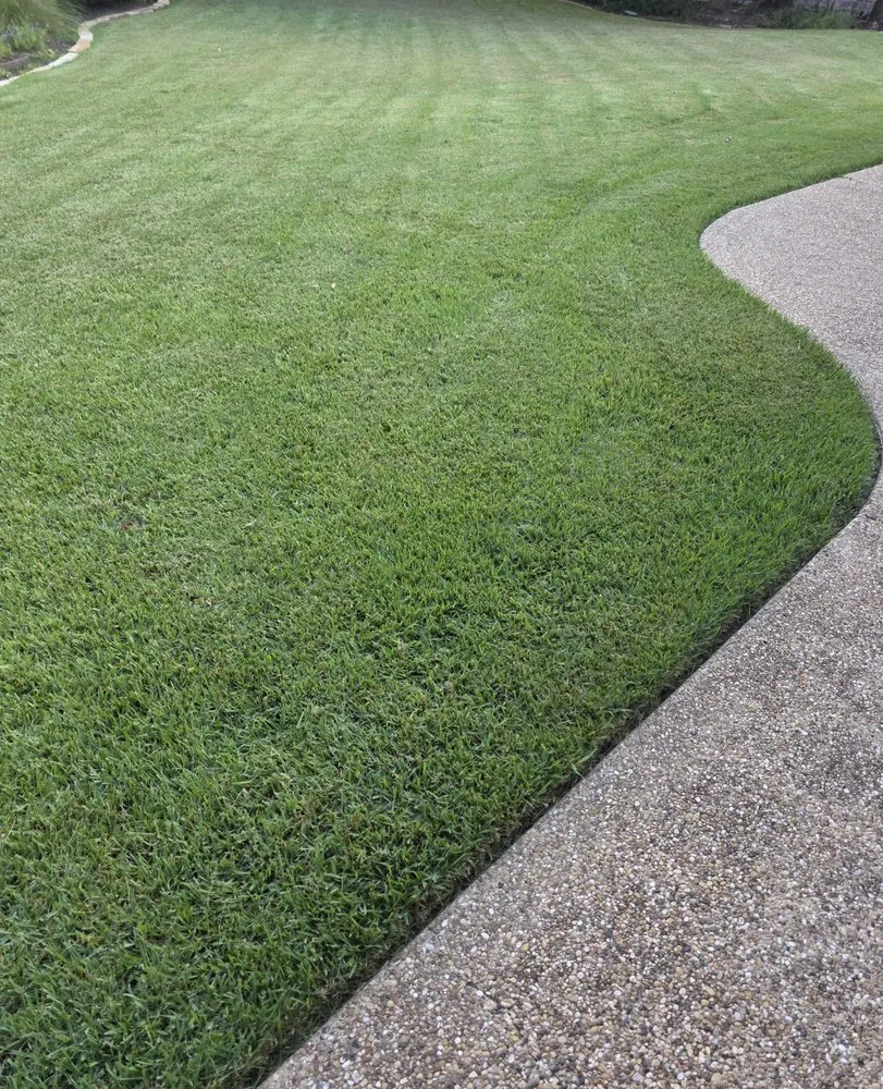 Affordable landscaping services experts serving Bryan, TX - Urban Green