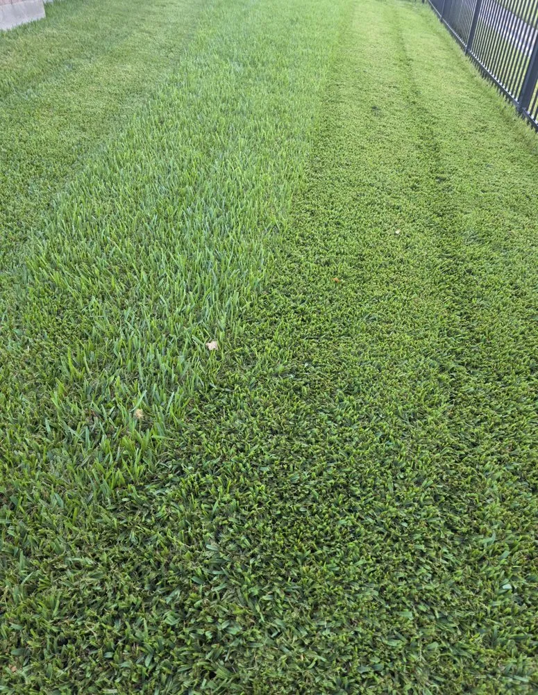 Trusted yard maintenance in Bryan, TX - Urban Green