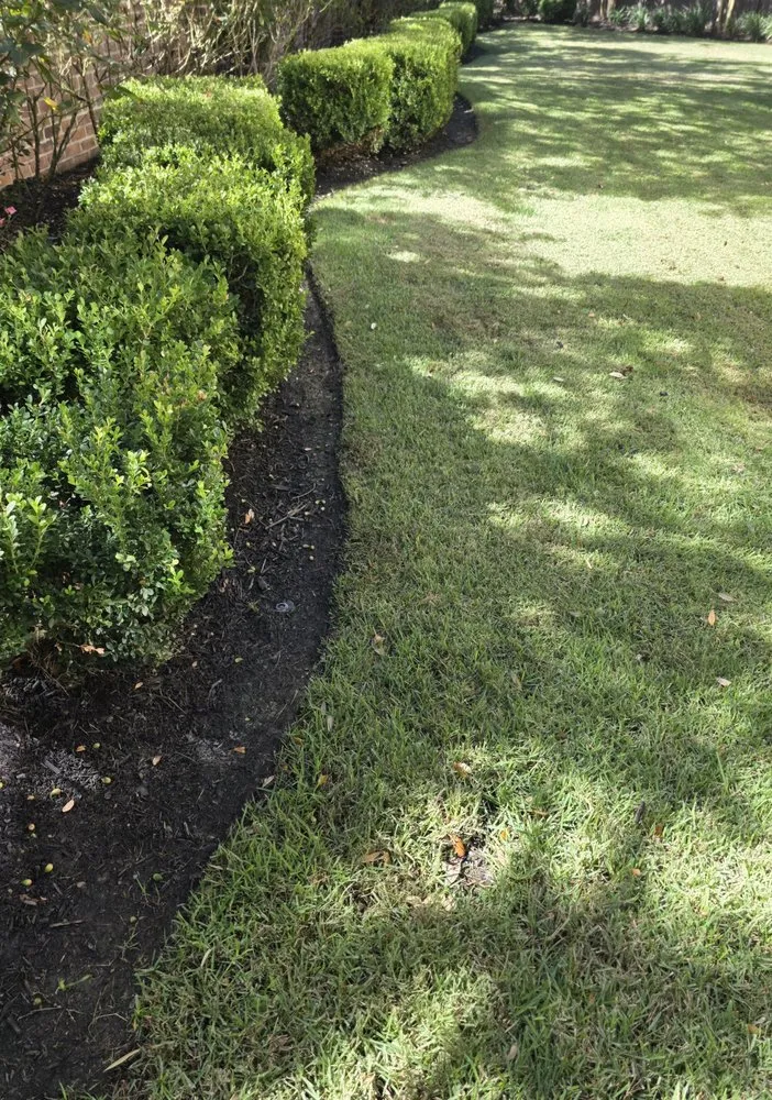 Reliable lawn care service in Bryan, TX - Urban Green