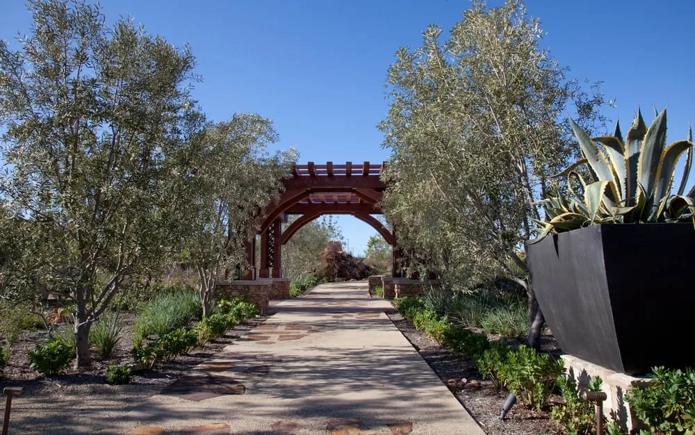 Reliable lawn care service in San Diego, CA - Urban Green Landscape Architecture