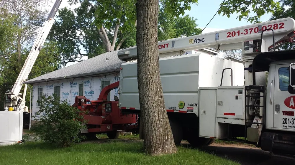 Affordable landscape installation in Englewood, NJ by Urban Green Landscaping Corp