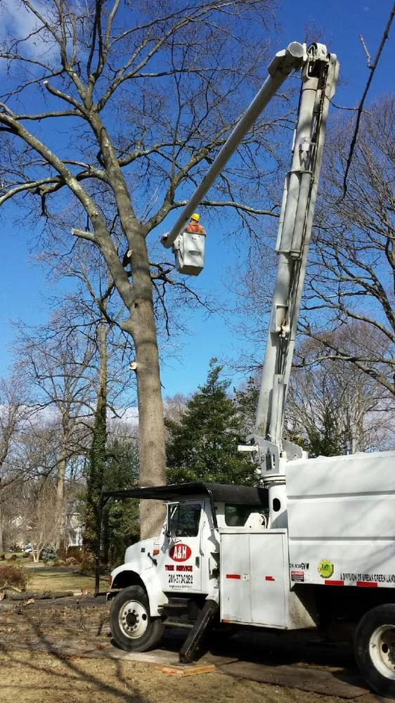 Professional garden landscaping in Englewood, NJ - Urban Green Landscaping Corp