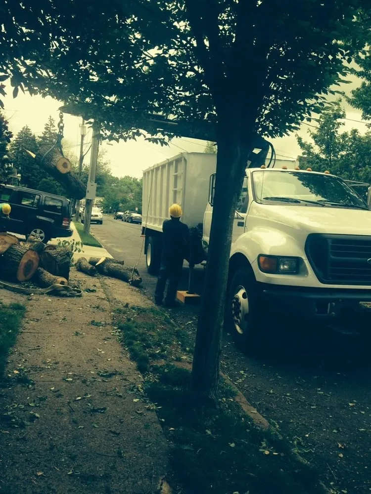 Custom outdoor landscaping experts serving Englewood, NJ - Urban Green Landscaping Corp