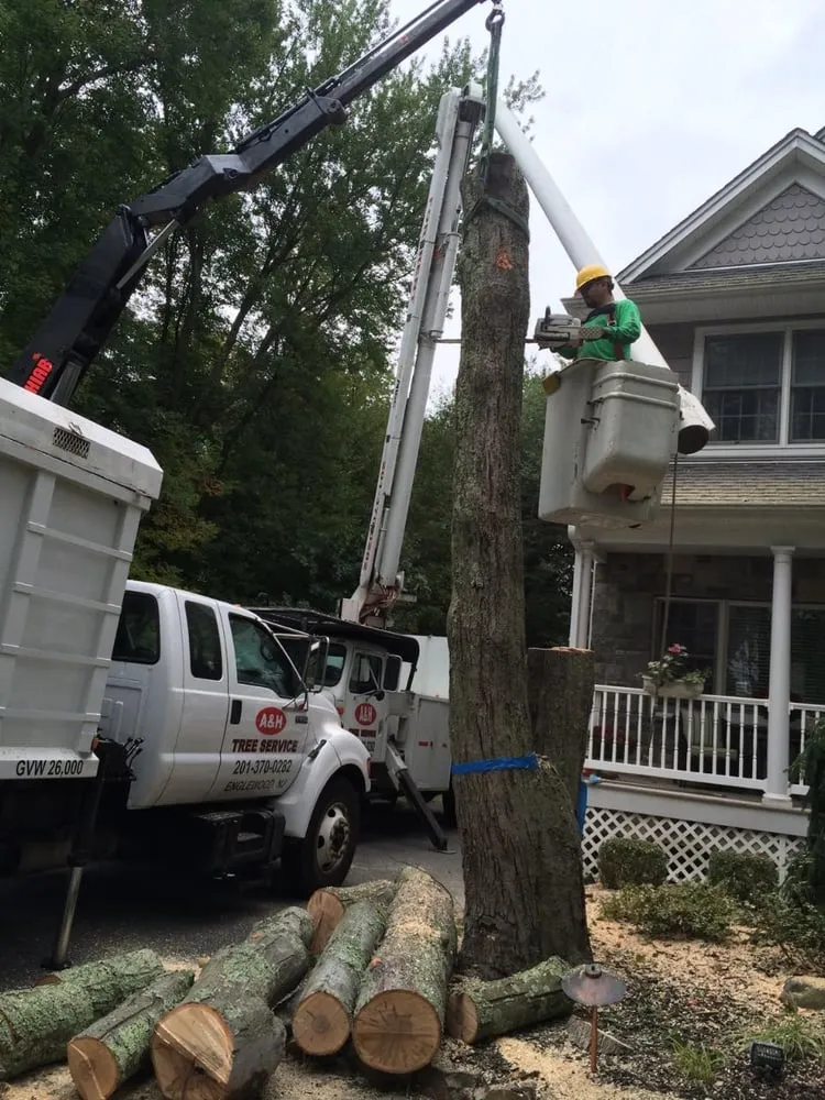 Reliable lawn care service in Englewood, NJ - Urban Green Landscaping Corp