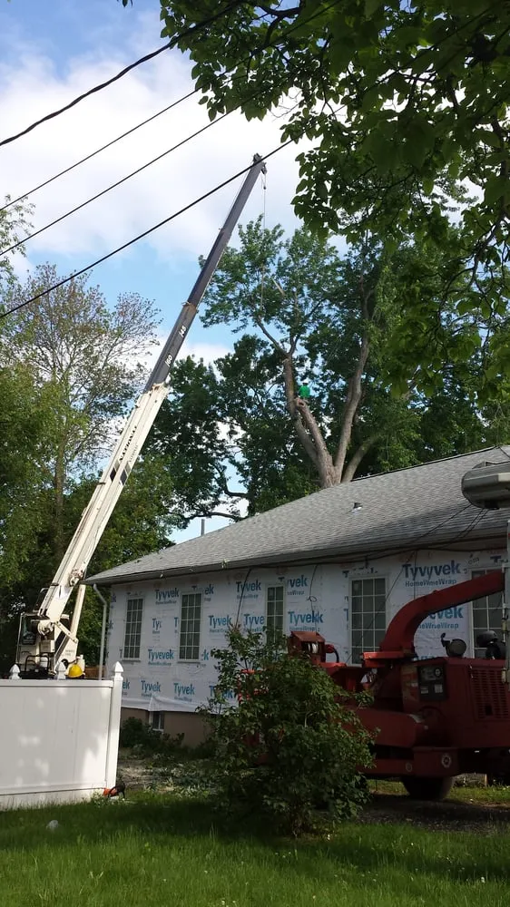 Trusted landscape design near you across Englewood, NJ - Urban Green Landscaping Corp