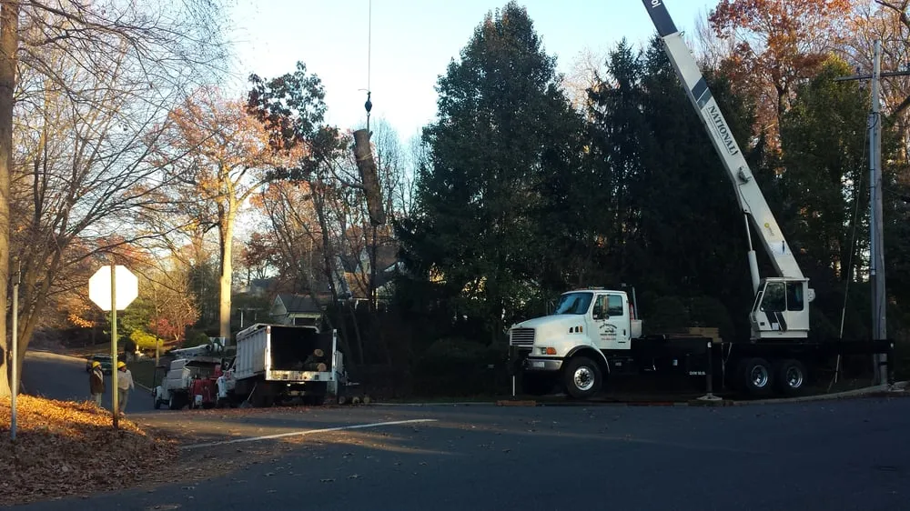 Reliable landscaping services for homes across Englewood, NJ - Urban Green Landscaping Corp