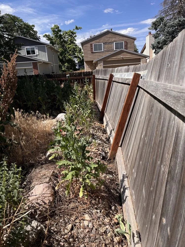 Expert outdoor landscaping experts serving Denver, CO - Urban Green Landscaping