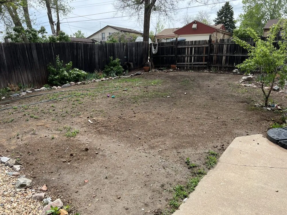 Expert yard maintenance for residential properties in Denver, CO by Urban Green Landscaping