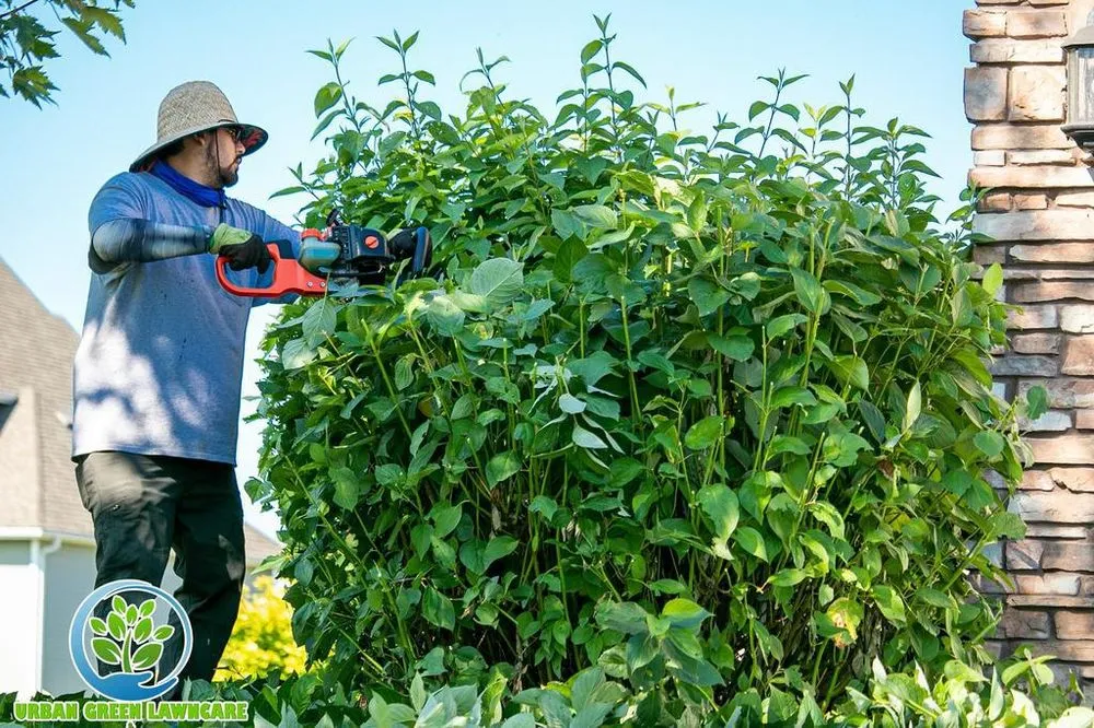 Top-rated lawn care service for residential properties in Lakeville, MN by Urban Green Lawncare & Snow Removal