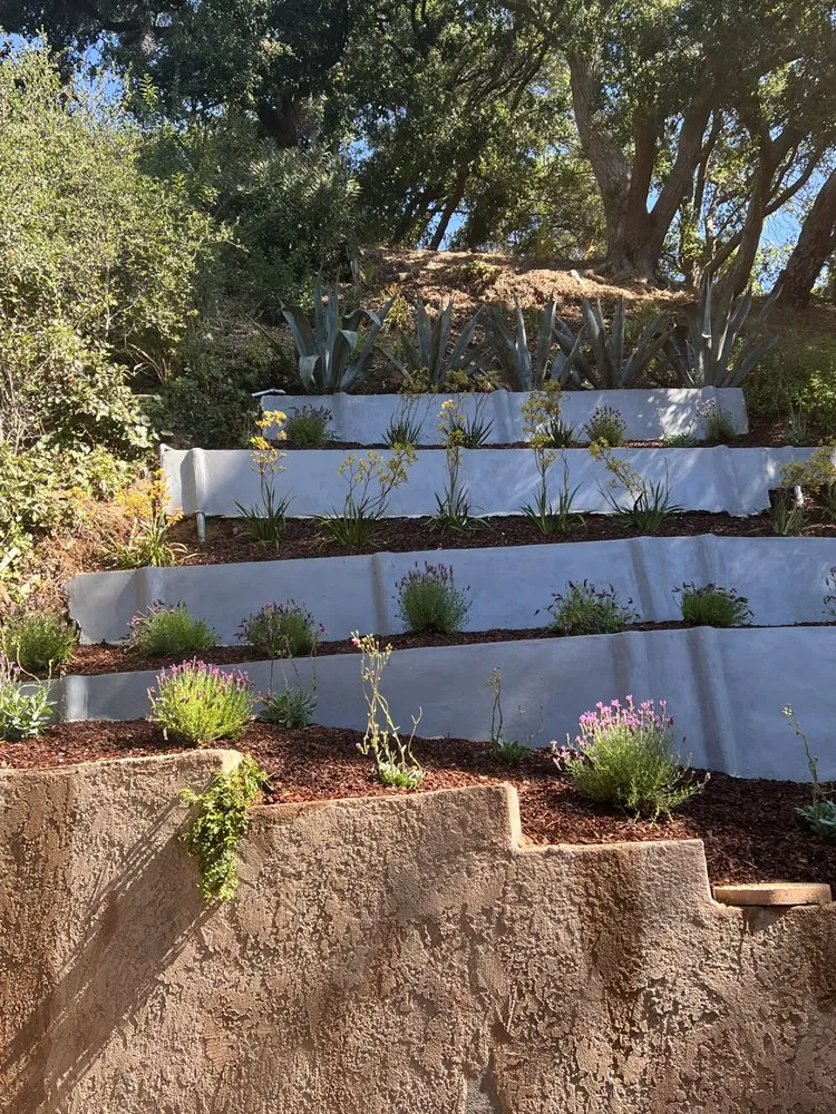 Reliable residential landscaping in Los Angeles, CA - Urban Green Services