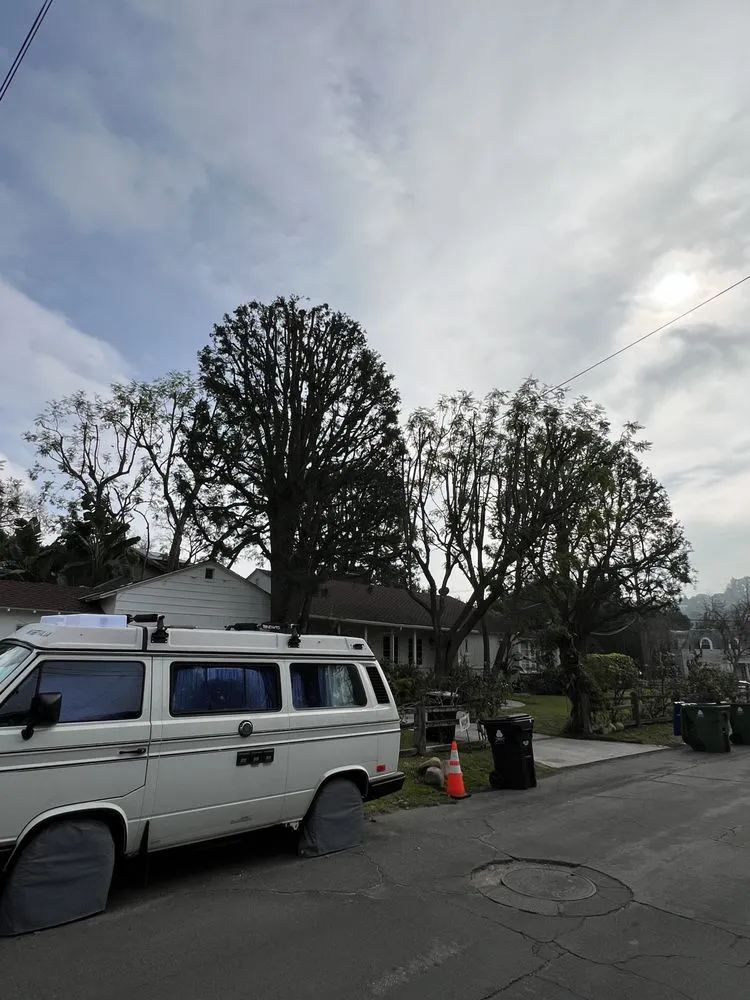 Affordable lawn care service for residential properties in Los Angeles, CA by Urban Green Services