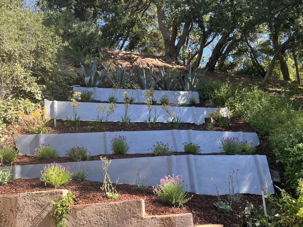 Professional lawn care service in Los Angeles, CA by Urban Green Services