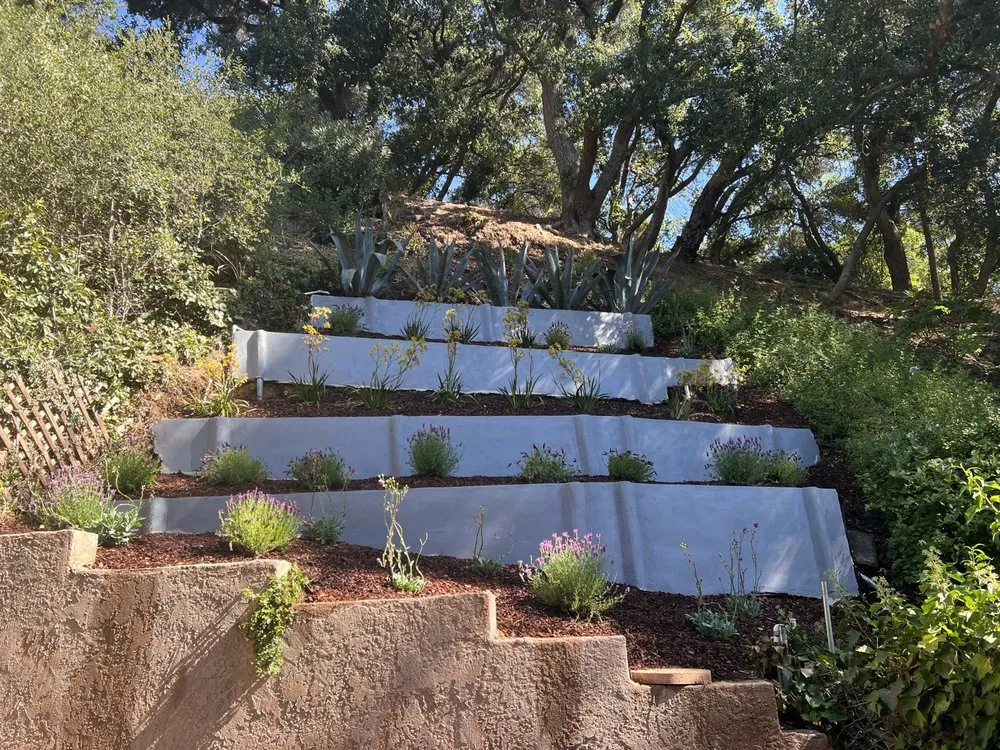 Professional yard cleanup service for homes in Los Angeles, CA by Urban Green Services