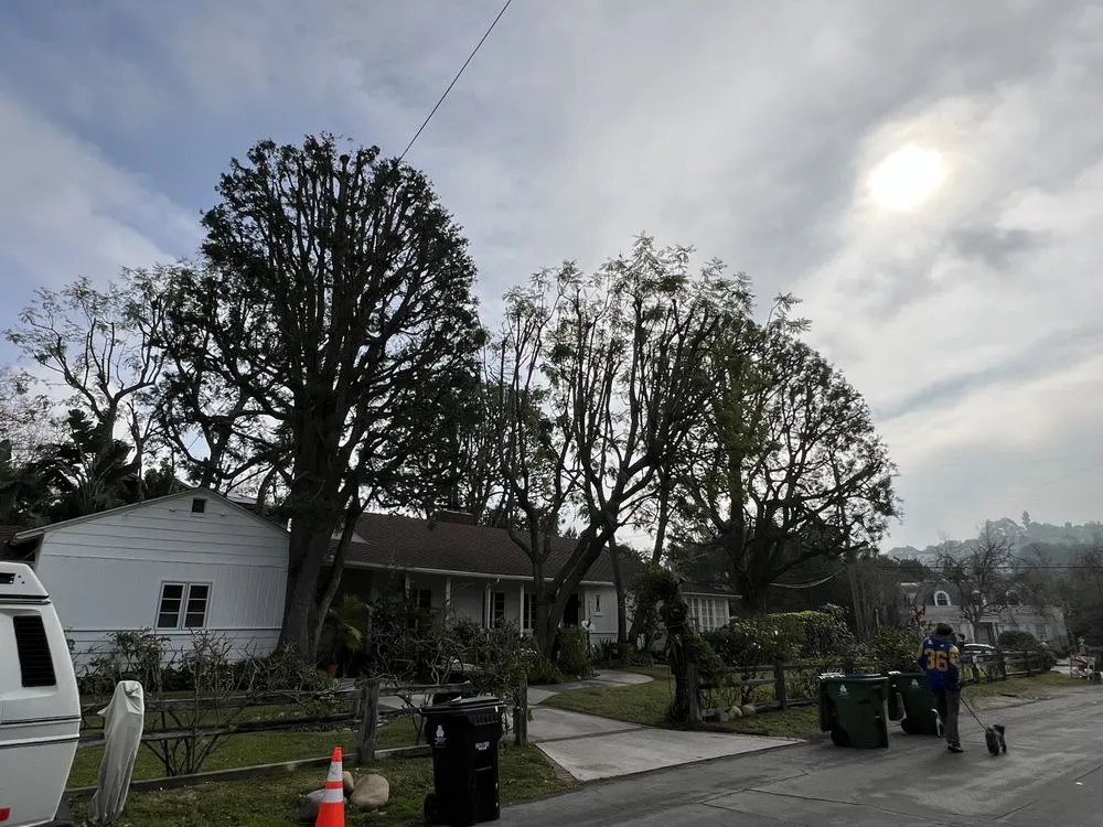 Reliable landscape design in Los Angeles, CA - Urban Green Services